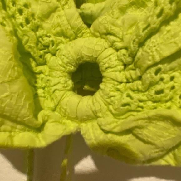 Crop top - Picture 4 of 4